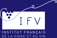IFV